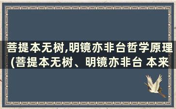 菩提本无树,明镜亦非台哲学原理(菩提本无树、明镜亦非台 本来无一物、何处惹尘埃)